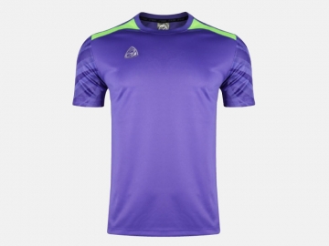 Soccer shirt EG5132 Purple/Fluorescent Green