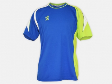 Soccer shirt FH-A911 Blue/Green