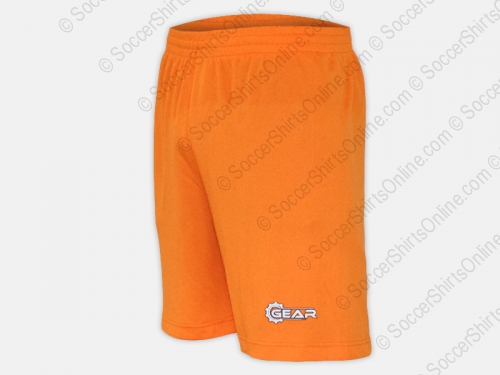 G2010 Orange Product Image